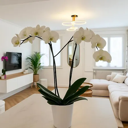 Дом отдыха Maison Saint Florent - Comfort & *